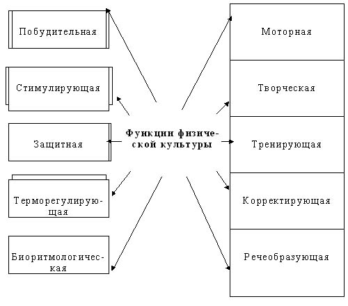 p74_pic1.jpg (36313 bytes)