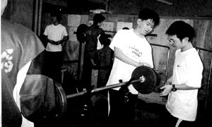 Sap4.jpg (17174 bytes)